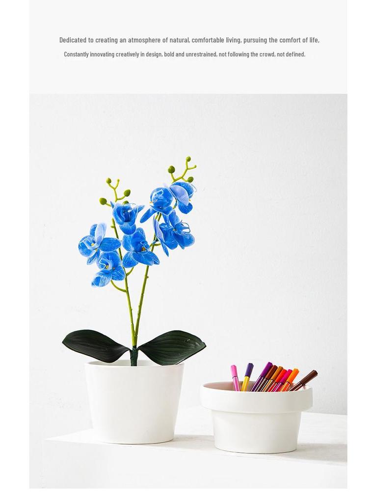Phalaenopsis Nordic Ceramic Flower Pot - Luxury Style Home Decor Dining Table Accent