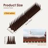 6Pcs Plastic Bird And Pigeon Spikes Fence Wall Spikes Bird Deterrent Spikes Anti Bird Spikes for Outside to Keep Birds Away NEW