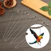 4 Size Flying Training Safe Parrot Foot Chain Bird's Foot Ring Anklet Stand Chain Ankle Foot Ring