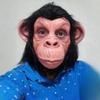 Модная маска обезьяны с большими ушами для Хэллоуинских фотосессий, Забавный головной убор в виде головы обезьяны, Можно брендировать, Прошла проверку качества