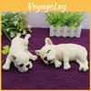 French Simulated Bulldog Model Tabletop Figurine Micro Landscape Decoration