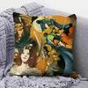 Record Of Lodoss War Anime Pillow Covers, Home Sofa Cushion Covers And Aecorative Custom