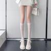 Women Sexy Floral Print Mesh Stockings Knee High Socks Soft Nylon Elastic Fishnet Fashion Long Leg Socks Designer Sheer Socks