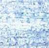 CD S.E.N.S. Clear Music FHCF2502 Fun House 2000 Япония Японский Клубный Танец Б/У