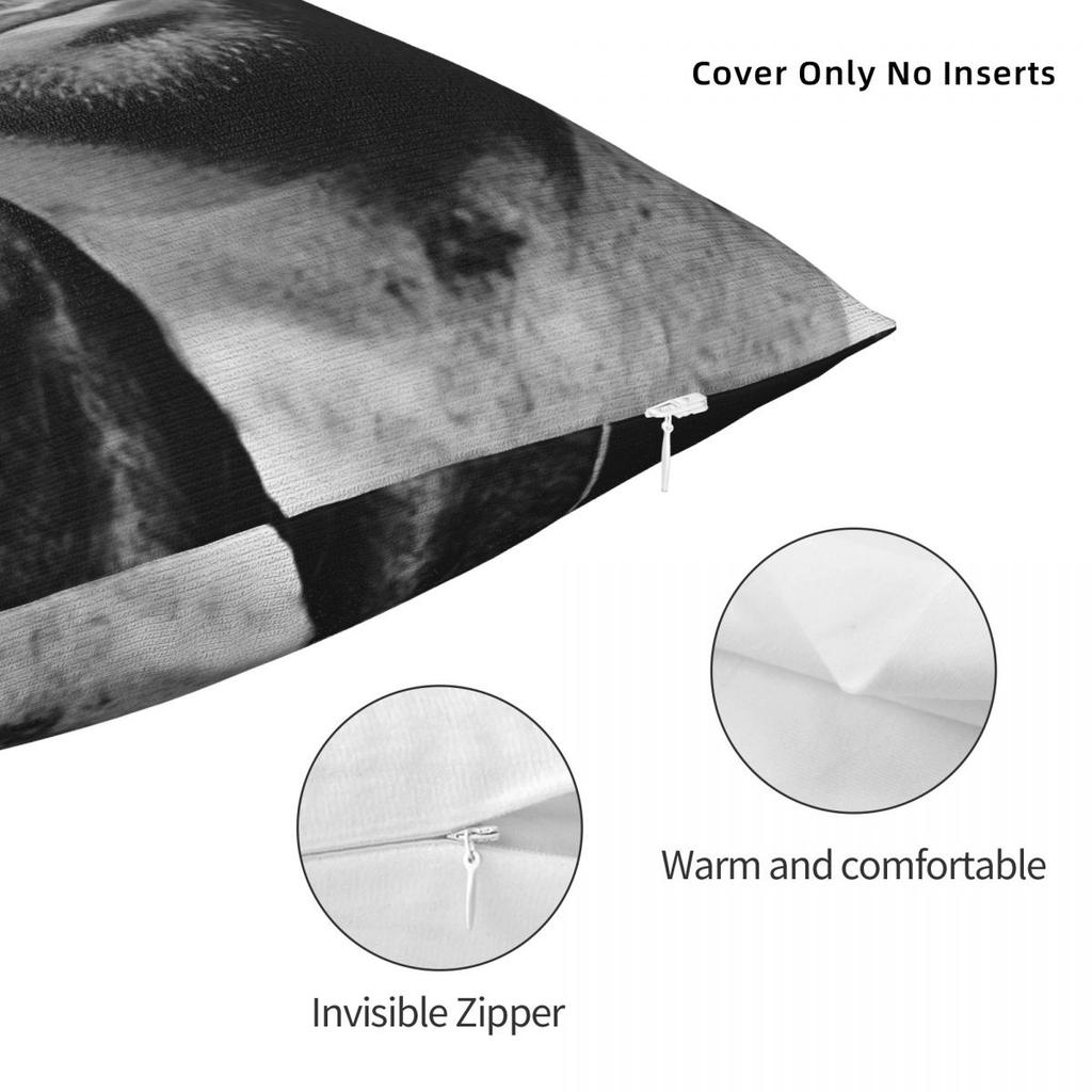 Pillow Cover George Michael British Singer Pattern Cushion Cover Morden Pillow Case For Sofa Bedroom Home Decor Pillowcases