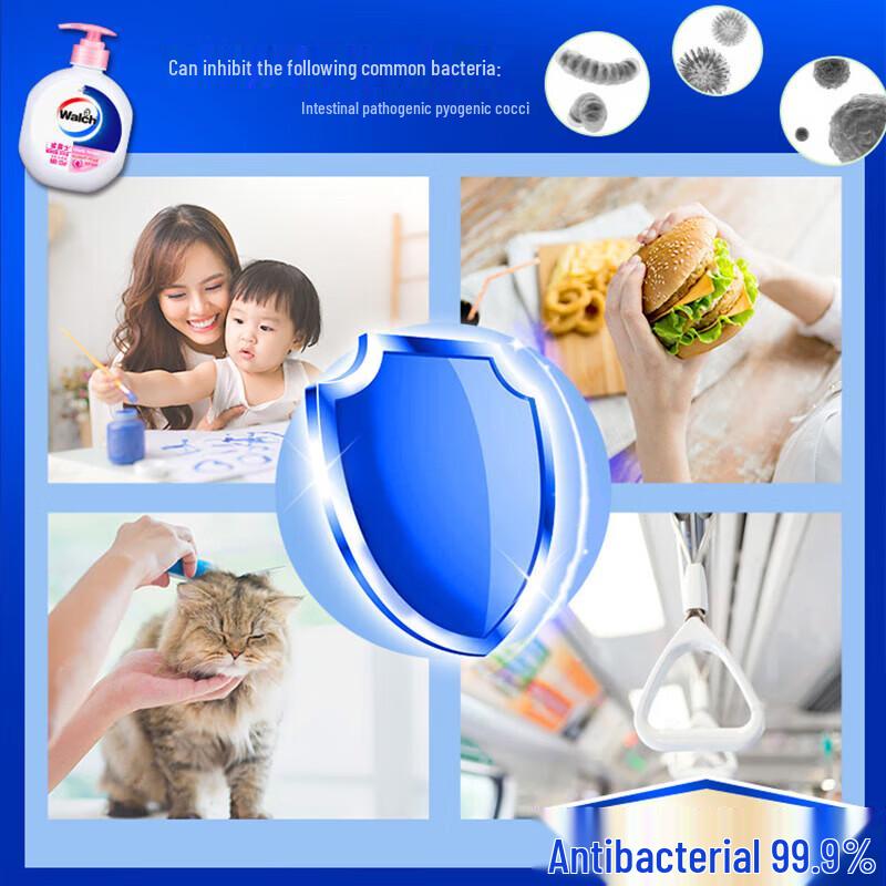 Walch Healthy Antibacterial Foaming Hand Soap