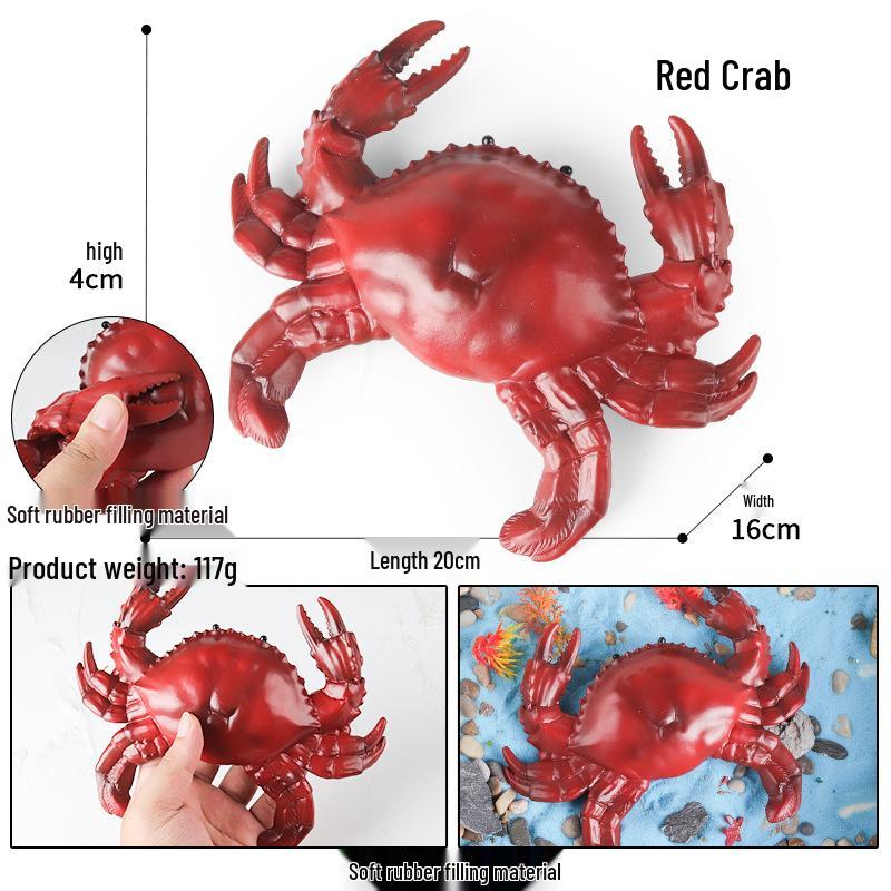 Marine Animal Simulation Models: Jellyfish, Octopus, Sea Shrimp, Sea Anemone, Squid, Horseshoe Crab, Crayfish, Arrowhead