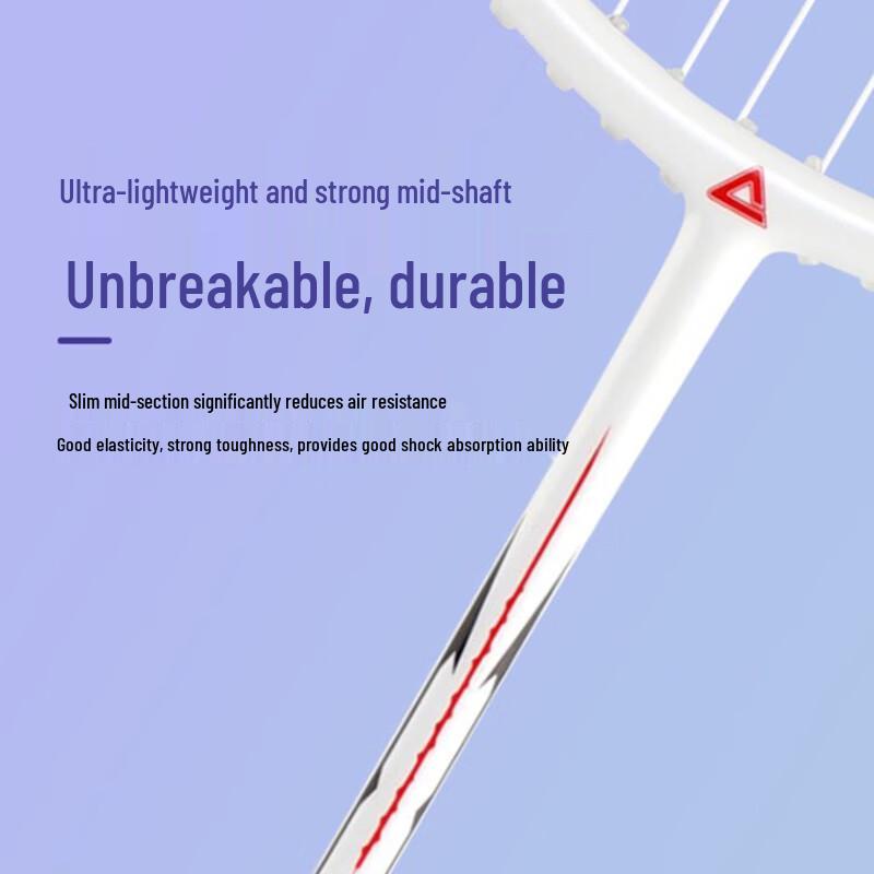 Peak YY41438 Adult Badminton Racket Set