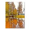 Autumn Decoration Canvas Poster Yellow Leaves Fall View Wall Art Print Pumpkin  Halloween Picture Living Room Home Decor