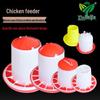 Automatic Chicken Feed and Water Trough for Poultry