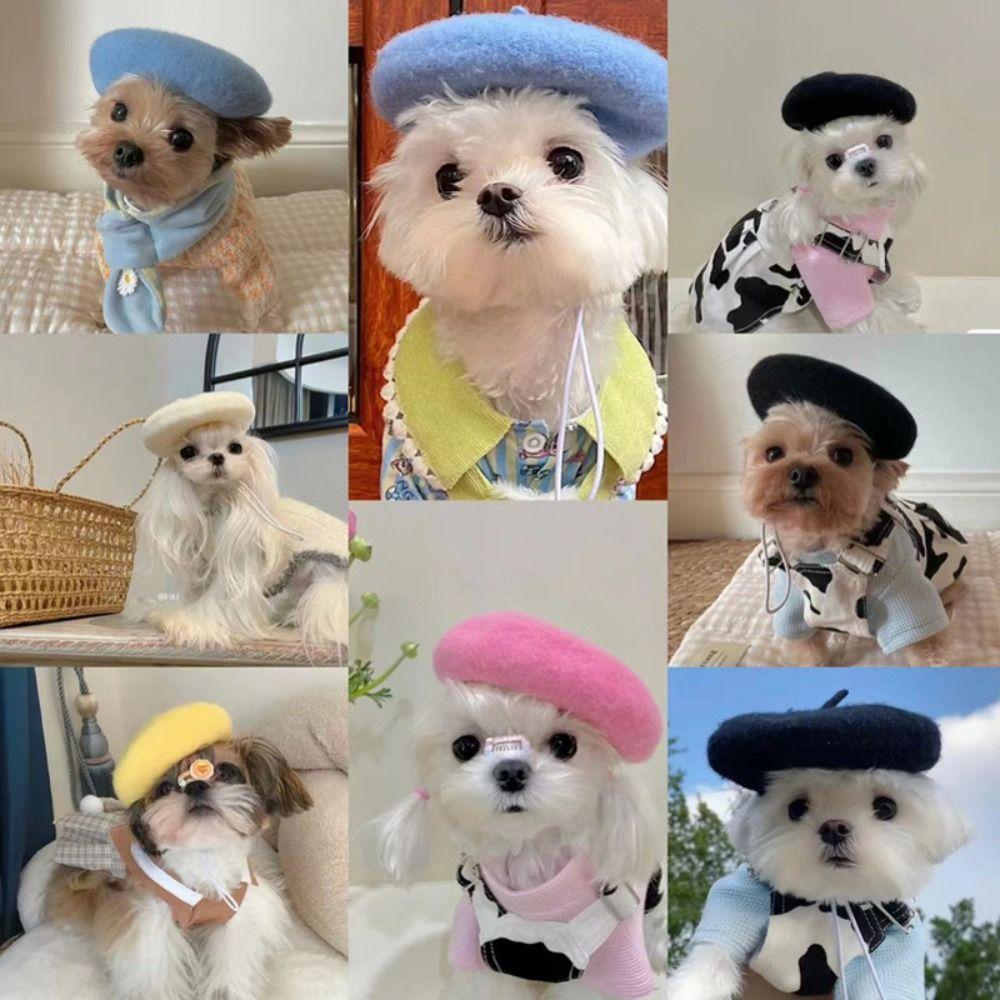 Ins Solid Color Mini Cat Accessories Dog Beret Cat Hat Pet Wool Cap Pet Headwear