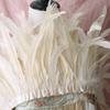 2m Rooster Tail Feather Trim: Costume & Accessory Decoration