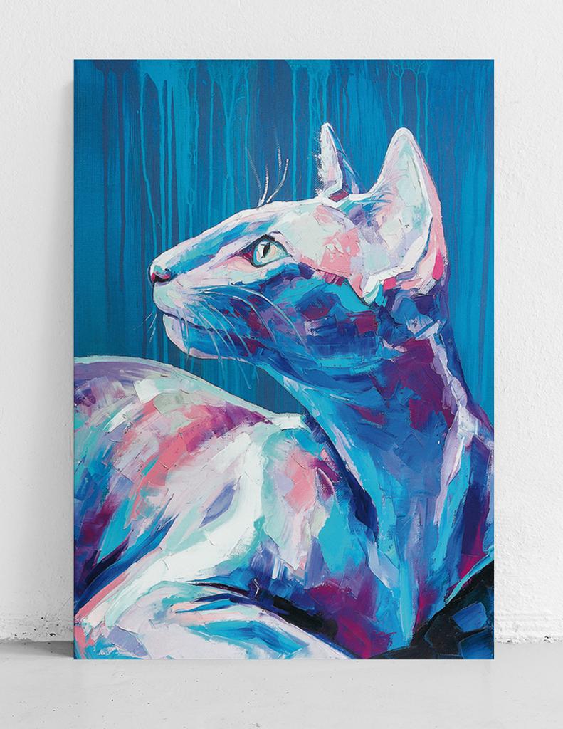 Plakat portret kot obraz