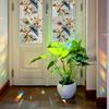Laser-cut Iridescent Retro Geometric Floral and Hummingbird Study Glass Door and Window Decorative Stickers