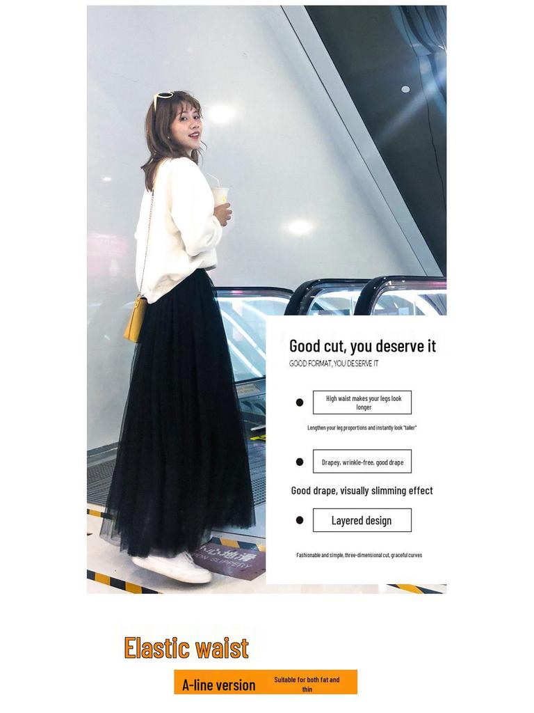 Mid-Length A-Line Pleated Mesh Skirt