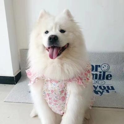 Принцесса Ветер Цветочное Платье Самоед Корги Лабрадор Средняя и Крупная Собака Собачья Юбка Розовое Летнее Тонкая Одежда