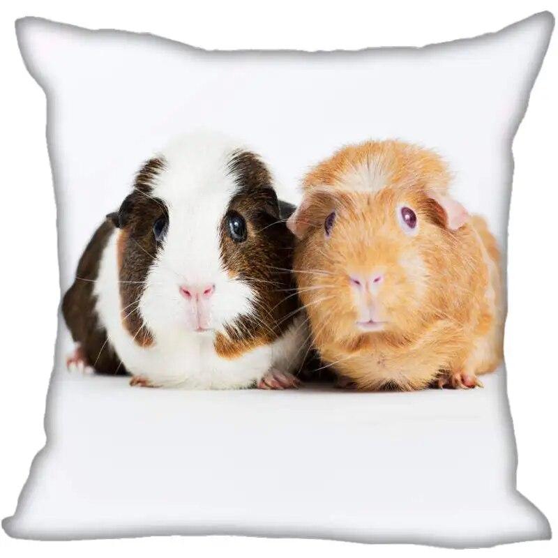 Наволочка для гостиной с морской свинкой в ​​современном доме