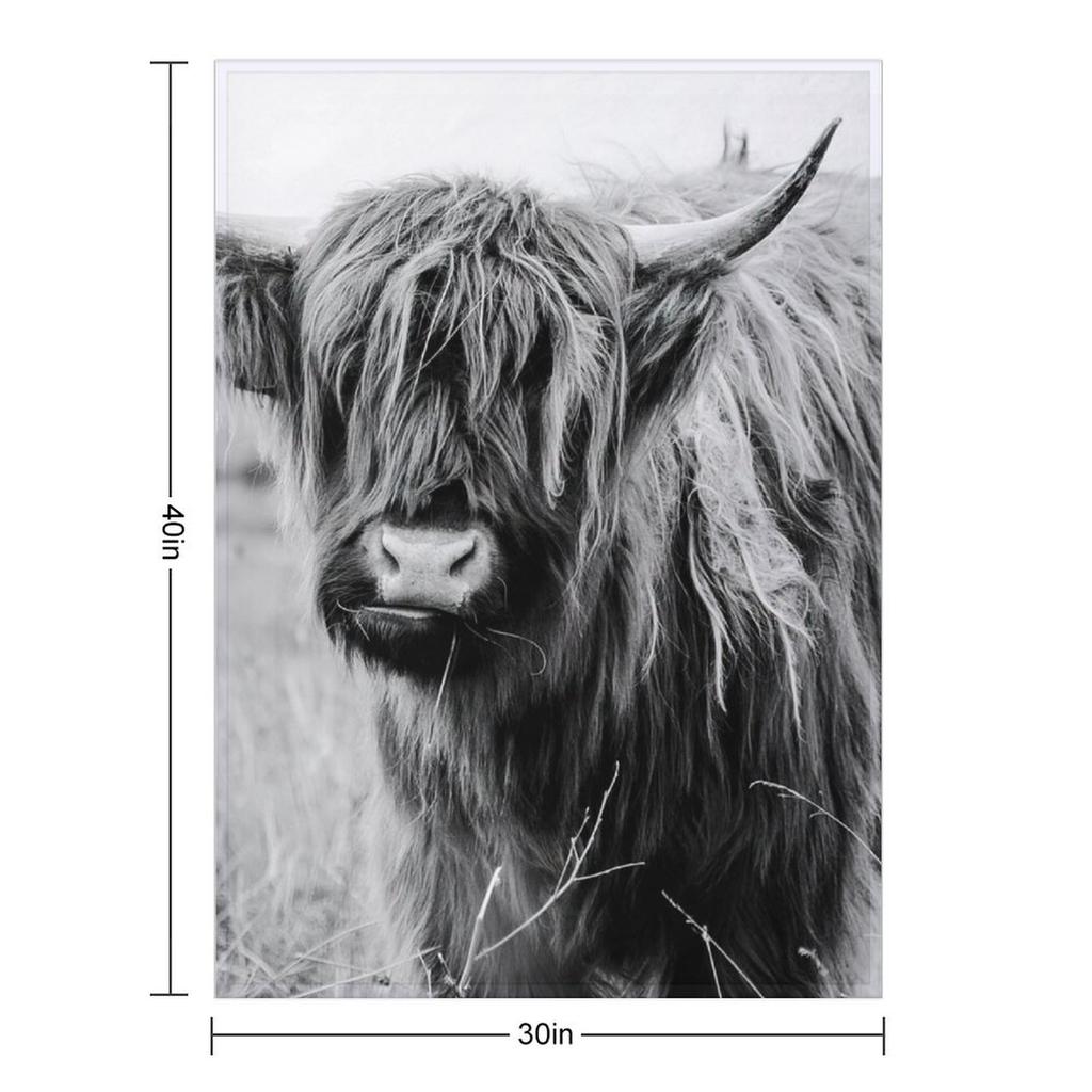 Young Highland Cow Throw Blanket valentine gift ideas Plush Heavy Soft Big Blankets