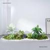 Bionic Fake Plants for Indoor Decoration: Living Room, Window Display, Under Stairs, Corner Arrangement.