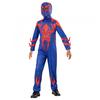 Childrens/Kids 2099 Costume
