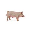 CollectA Pig Figure (Medium) (Boar)