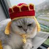 Вязаная шапка для питомца, связанная крючком вручную, аксессуар для костюма бога богатства лягушки, теплая зимняя шапка для питомца для маленьких кошек и собак