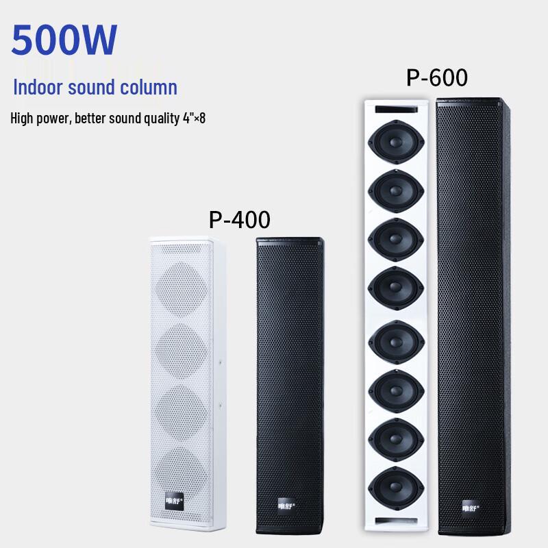 Weishu Professional Indoor Line Array Speakers & Brackets