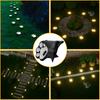 Solar Paw Print Pathway Lights Outdoor Waterproof LED Garden Decor Automatic On Off Cat Dog Footprint Yard Lamp