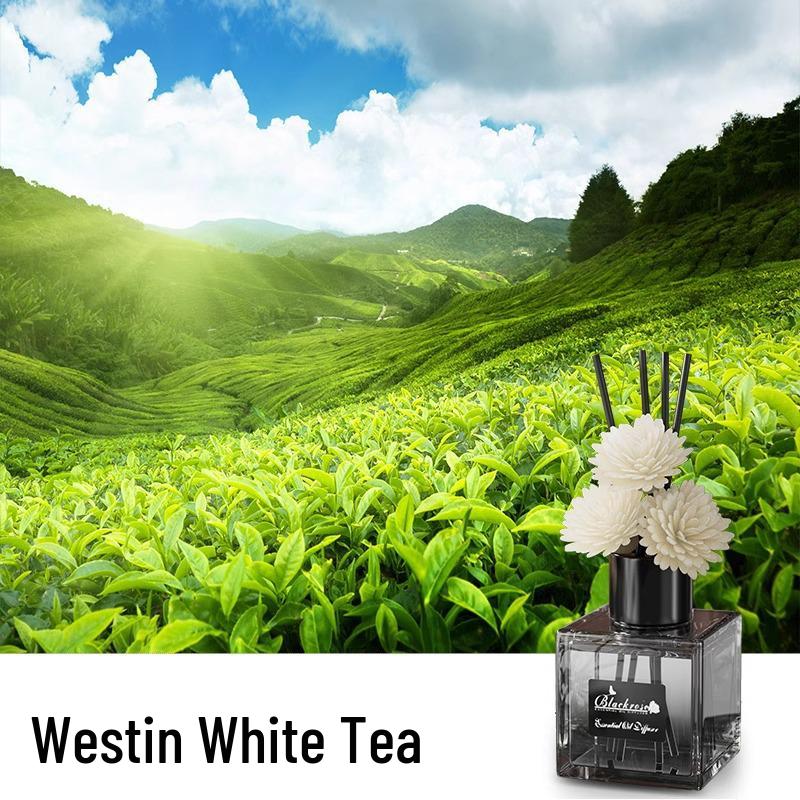 Роскошный долгоиграющий ароматизатор воздуха с аромамаслом для помещений для спальни, ванной комнаты и туалета.