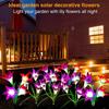 Ambient lighting Solar Simulation Lily Flower Outdoor Courtyard Garden Villa Decoration Night Light Home Lawn Floor Lamp
