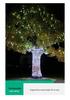 Waterproof Solar LED Meteor Shower String Lights - Outdoor Hanging Decorative Tree Lights