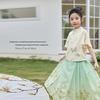 Набор Hanfu с юбкой-«лицо лошади» для девочек LUSON