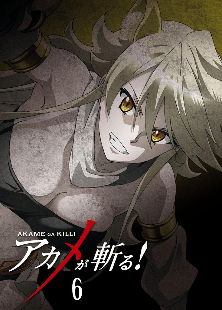 Akame Ga Production Limited Kill! Vol.6 Blu-ray [First Edition]