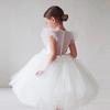 Girls' Cross-Border Princess Dress with Fly Sleeves, Puff Tulle Evening and Flower Girl Performance Costume