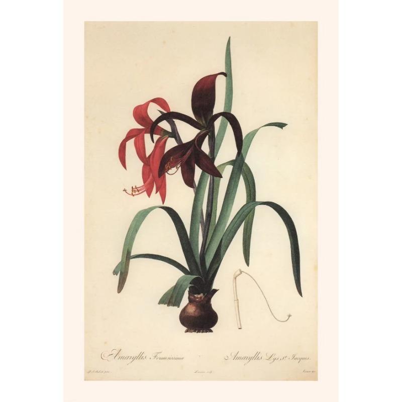 Винтажные ботанические постеры, холст, живопись и принты, классическая настенная картина для гостиной, офиса, домашнего декора, без рамы, подарок