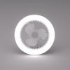 Ceiling Fan Light Practical Easy Installation Sleeping Mode Aromatherapy Fan Lamp Indoor 2-in-1 Cooling Fan LED Lamp LED Ceiling Fan