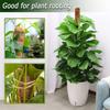 1pc Moss Pole for Plants Monstera, Coco Coir Moss Poles Bendable Plant Poles for Climbing Plants Growth Upward, Plant Support
