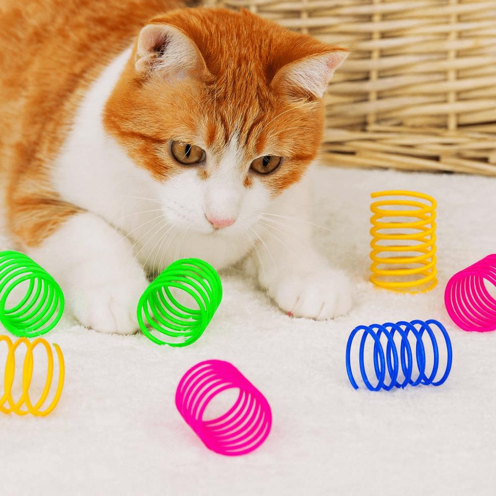 12pcs/set Colorful Cat Spring Toy Bite Resistant Plastic Coil Spring Toy Scratch Resistant Interactive Cat Toy Pet Entertainment