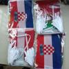 Aerlxemrbrae 2026   42pcs Country Flag NEW cup  Countries Flag Bunting National String  Banner Football Event Garlands decor