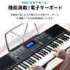 RiZKiZ Electronic Keyboard 350 Types of Instrument 61 Types of Keyboard Microphone LCD Automatic Hobbies [61 Keys] Tones, Rhythm, Percussion,