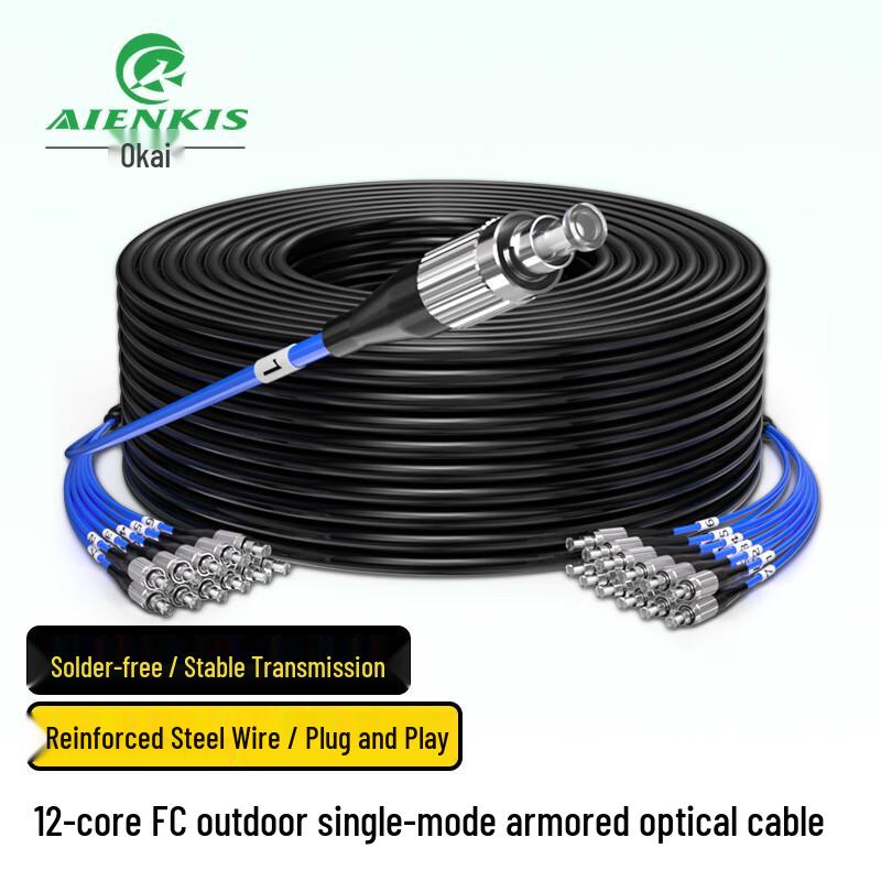 AIENKIS Outdoor Single-Mode Armored 6-Core FC Fiber Optic Cable