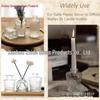 Small French Retro Glass Hydroponic Vase for Home Decor