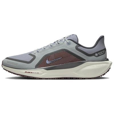 Air Zoom Pegasus 41 GORE‑TEX FQ1356‑003