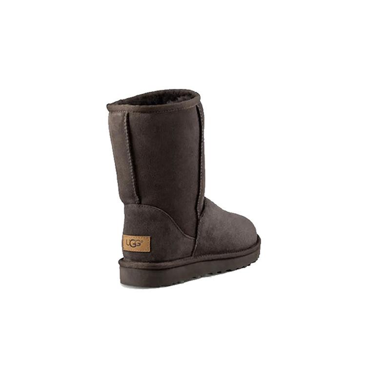 UGG Классические короткие ботинки на резинке II, коричневые, женские 1016223-CHO