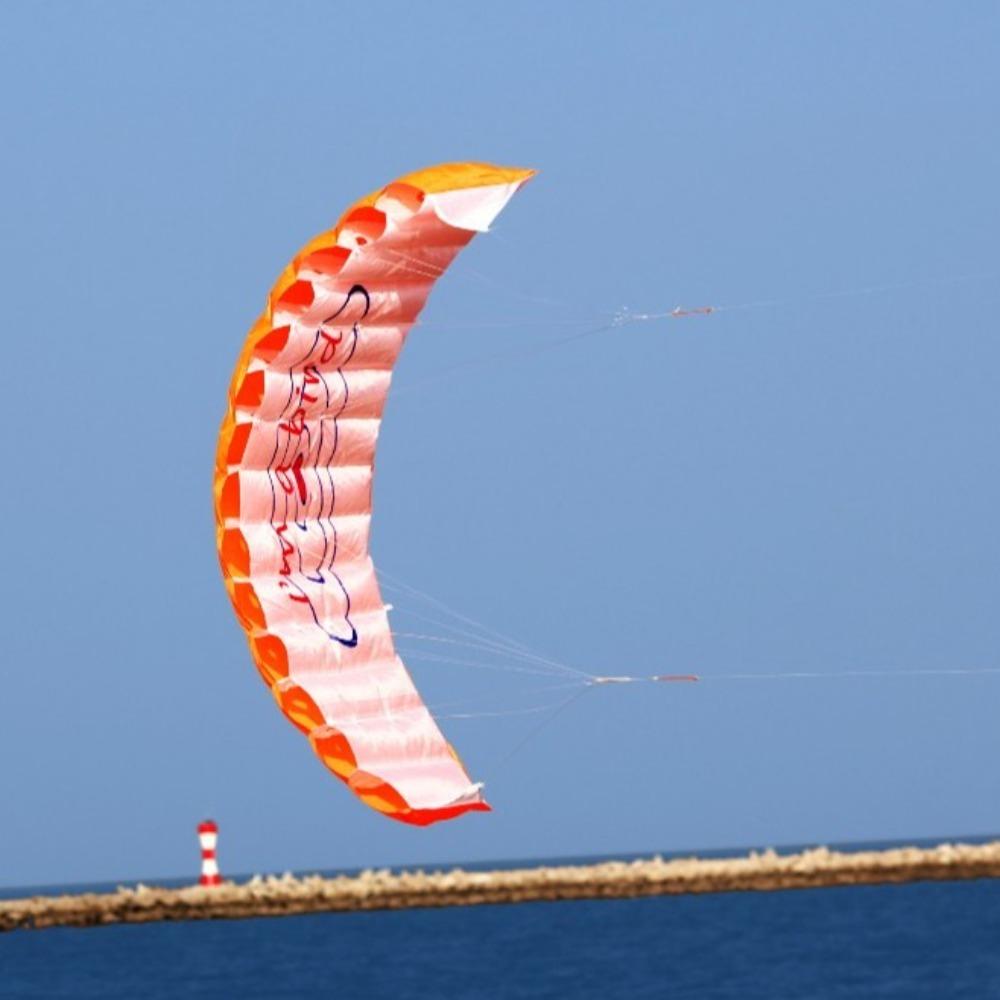 Двойной стропный кайт для трюков, мягкий спортивный пляжный кайт, профессиональный 1,4 м, парашютный кайт для сада