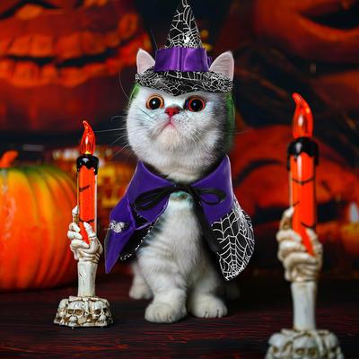 Кошки – Одежда для кошек