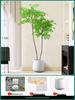 Artificial Nandina Domestica Potted Plant for Home Decoration - Green Ornamental Bonsai for Living Room or Sofa Side Decor.