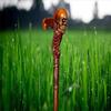 93.98 Cm Hand-Carved Skull Palm Grip Handle Cane Wooden Walking Stick with Ergonomic, Unique Design for Men, Women Gift
