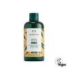 Ginger Scalp Care Shampoo 250ML