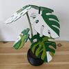 6Pcs 3D Printed Monstera Leaf Coaster Set Detachable Plant-Themed Drink Pads with Hidden Storage Pot Unique Home Decor Gift for Plant Lovers